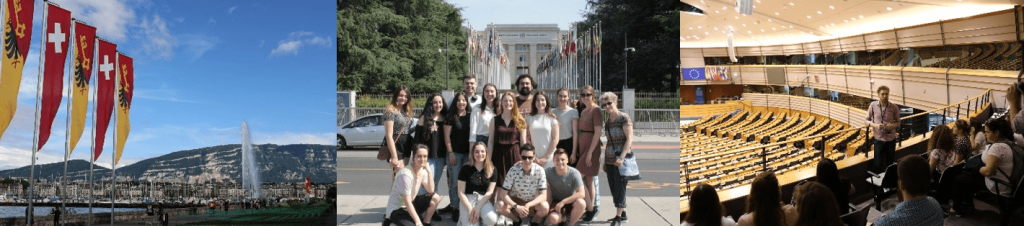 2019-2018-2017- Bruxelles (cours en Science politique)
